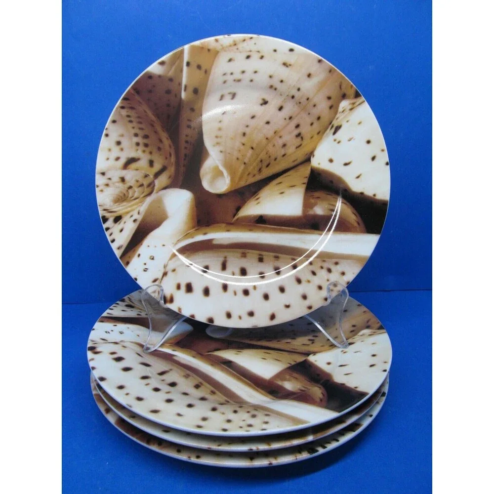 Pier 1 Seashell 8